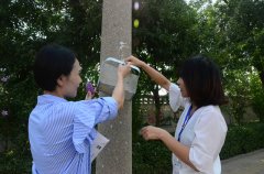 创建全国文明城市 华纺人在行动